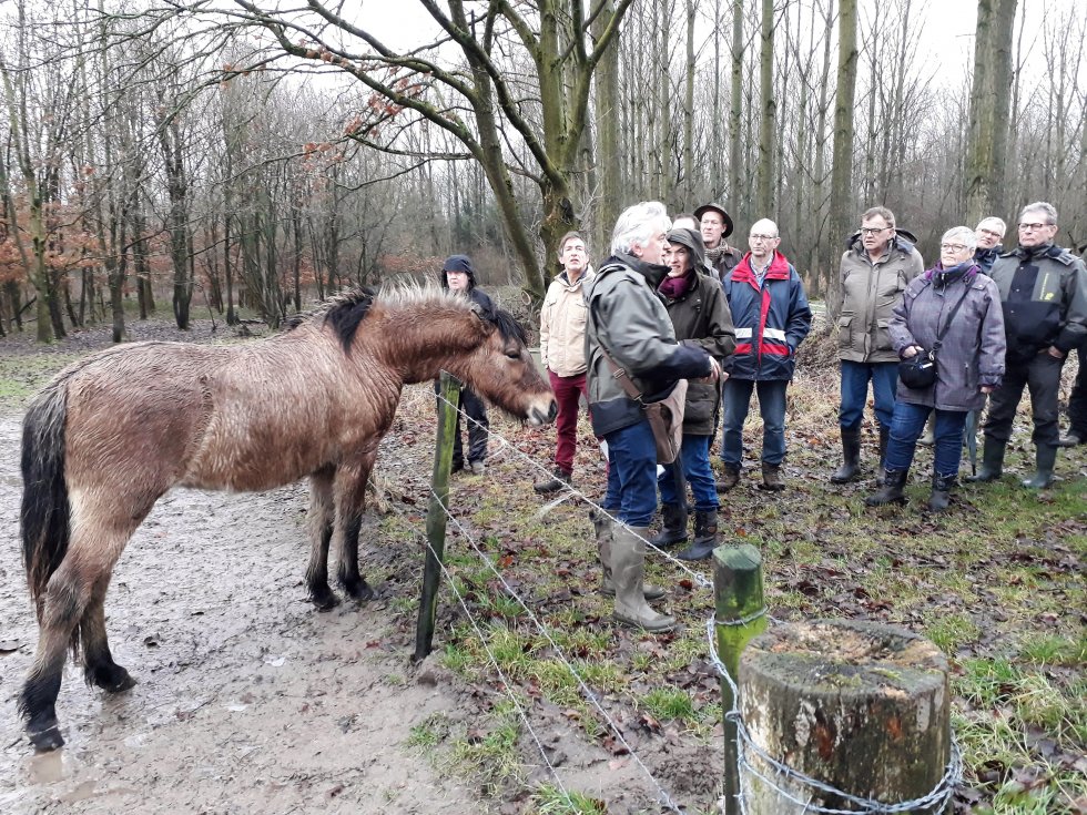 Nieuwjaarswandeling door de Scheeken