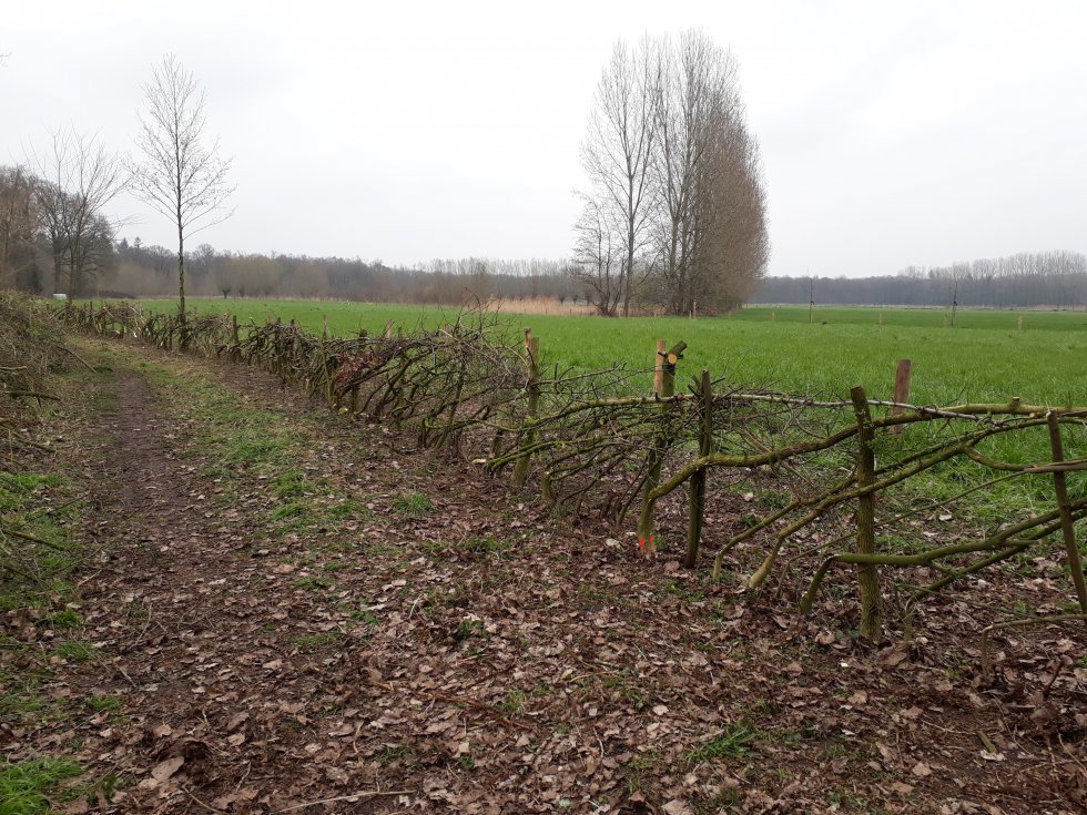 Een zeer geslaagde Biodiversiteitsdag 2019!