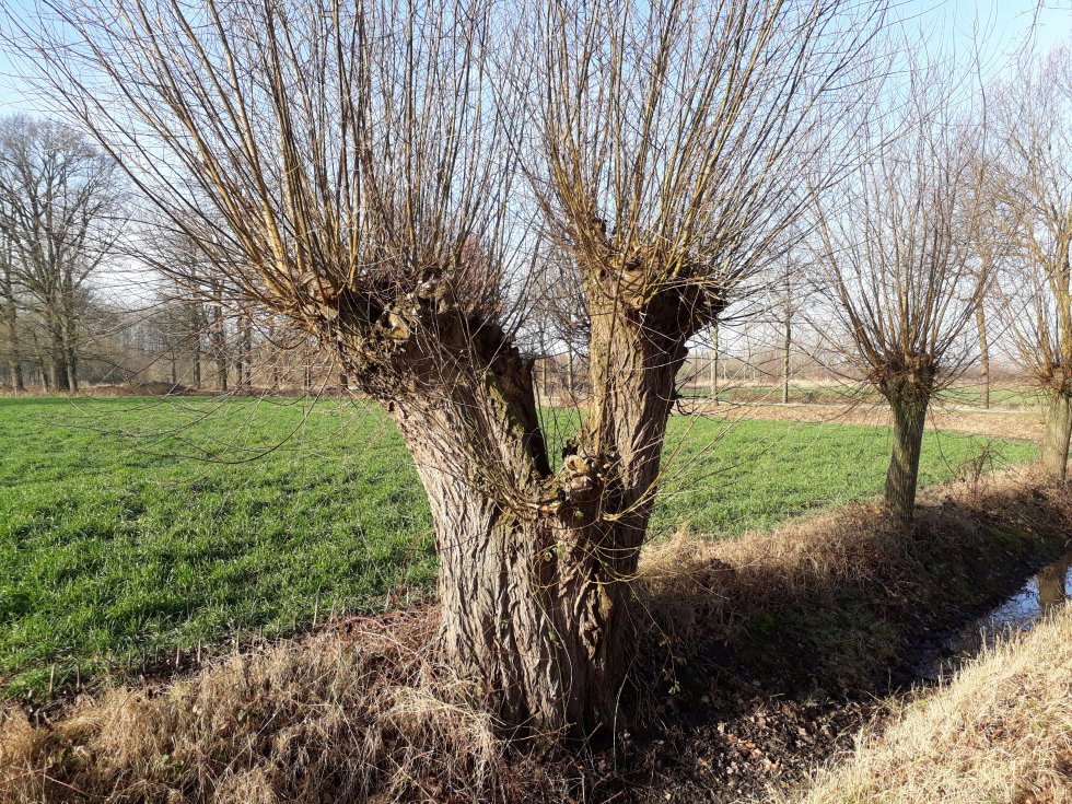 Werkochtend KLE