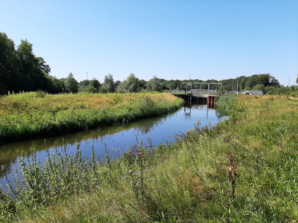 Wandeling De Wamberg Berlicum