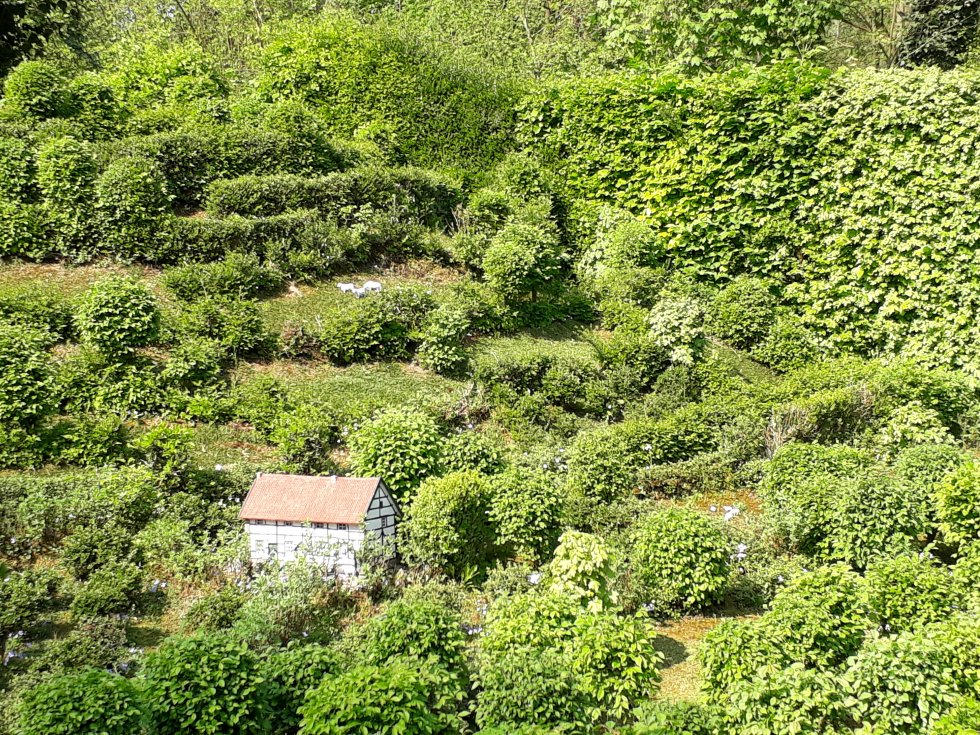 Bezoek Arboretum Willy Spierings Liempde