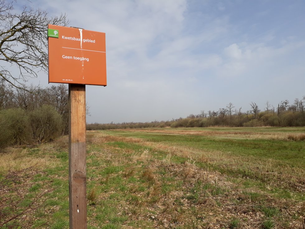 Wandeling Moddervelden Oisterwijk